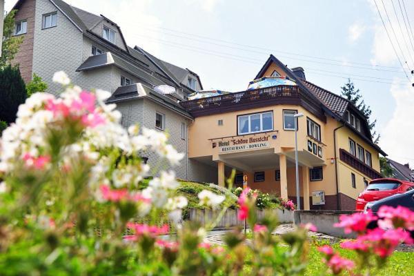 Hotel Schoene Aussicht Steinach  Habitación foto
